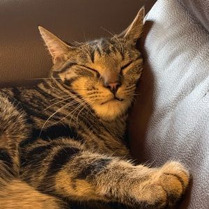 Meet your Posher, Erika